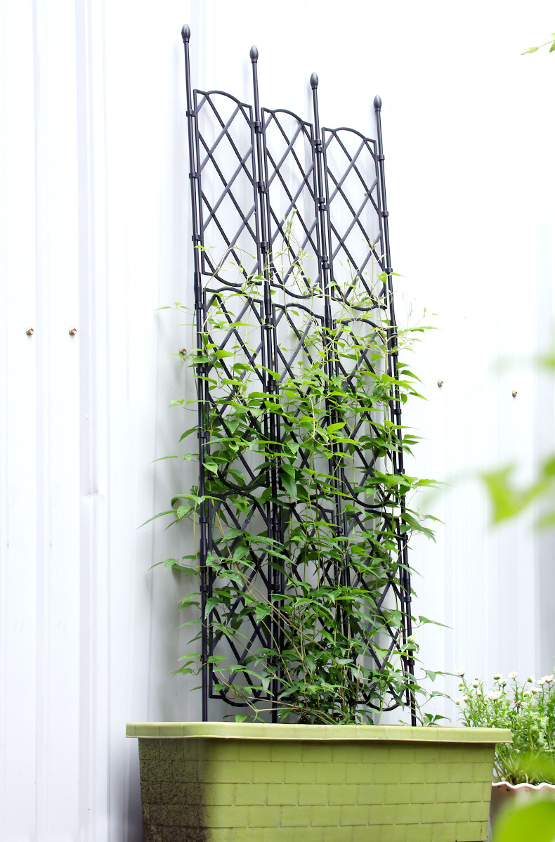 欧式植物爬藤架铁线莲阳台月季花卉支架户外花墙网格铁艺花架屏风