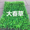 simulation Lawn Plastic Man-made Lawn 40X60 centimeter Market Glass partition balcony cupboard turf