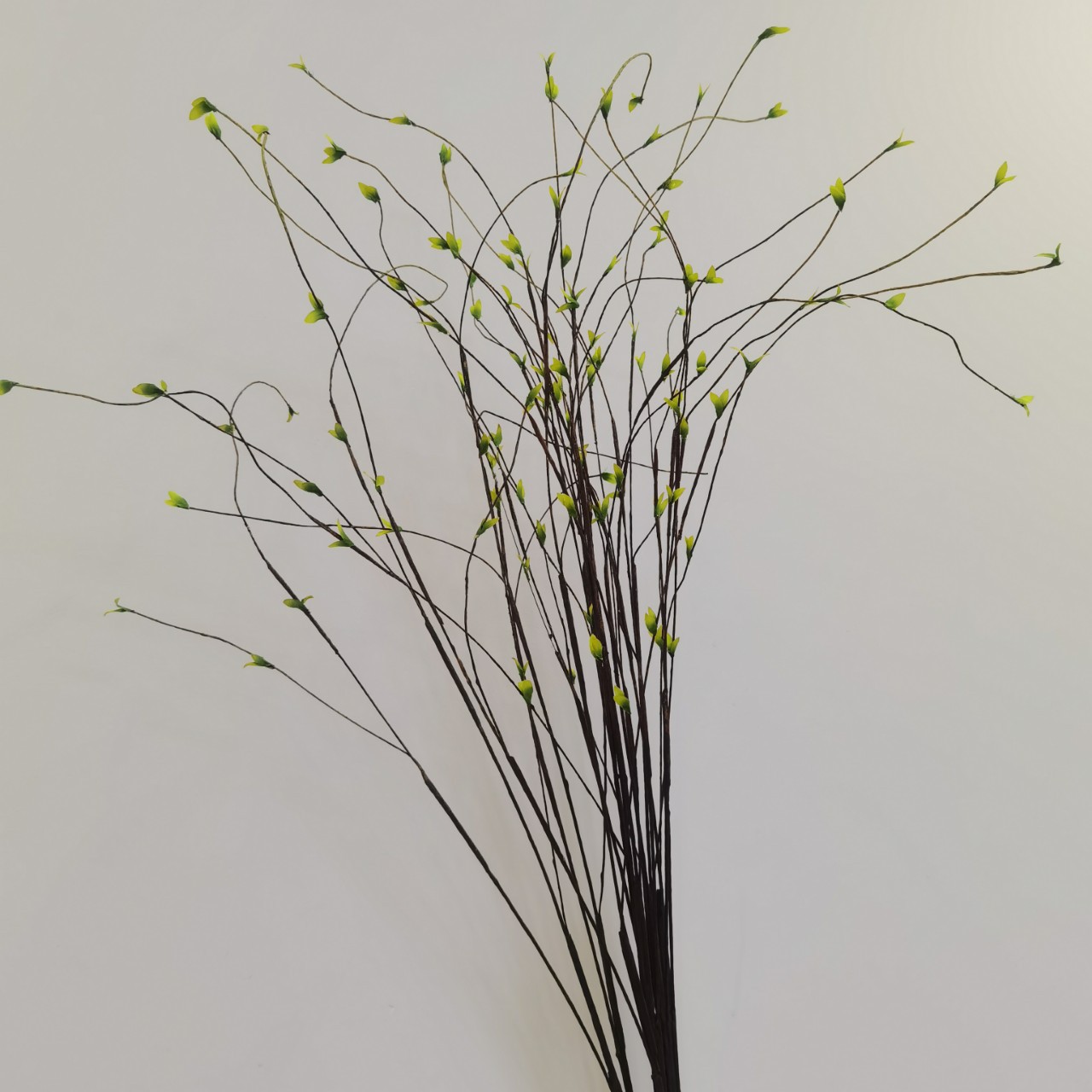 手卷芽枝龙柳柳条现代家居样板间酒店插花装饰境外婚庆摄影枯枝叶