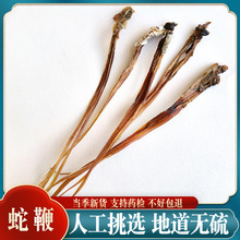 蛇鞭10条双鞭整条食用大蛇鞭干眼镜蛇五步蛇乌蛇泡酒原料可打粉