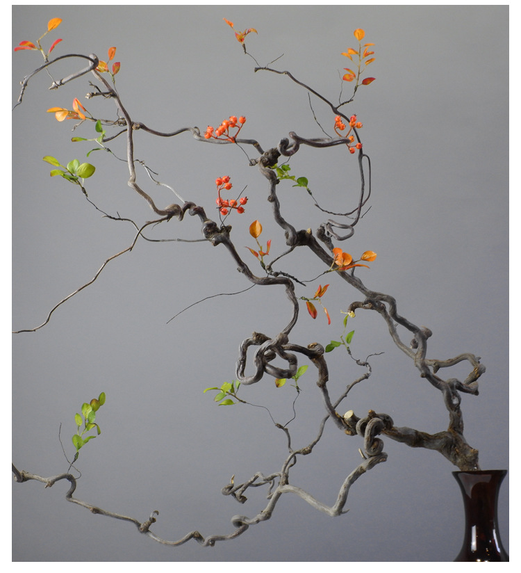 龙枣干枝 装饰 树枝 玄关 弯曲枝条 龙须枣枝条 鸟