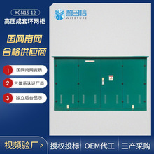 10kv高压环网柜HXGN15-12箱式电缆分支箱开闭所六氟化硫SF6充气柜