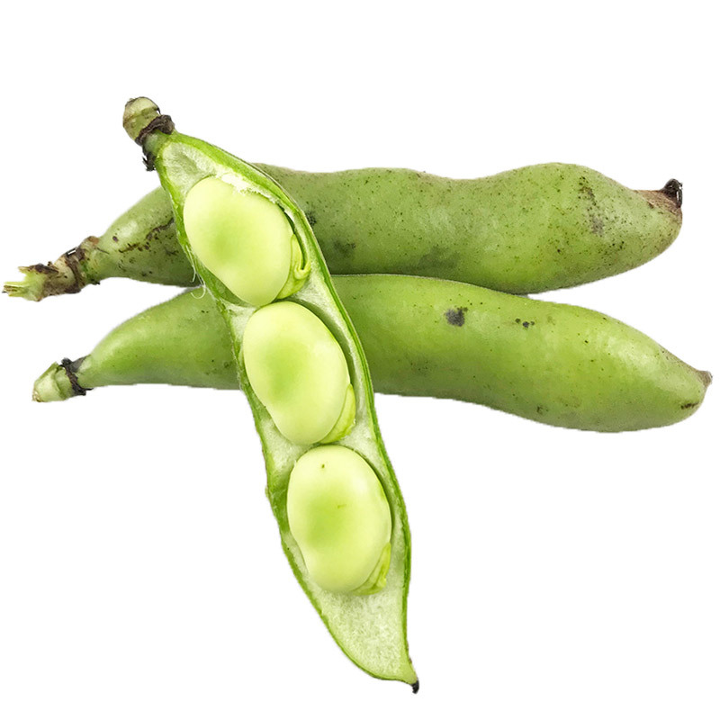 新鲜蚕豆带壳现摘露天种植嫩胡豆青豆罗汉豆时令蔬菜斤顺丰包邮