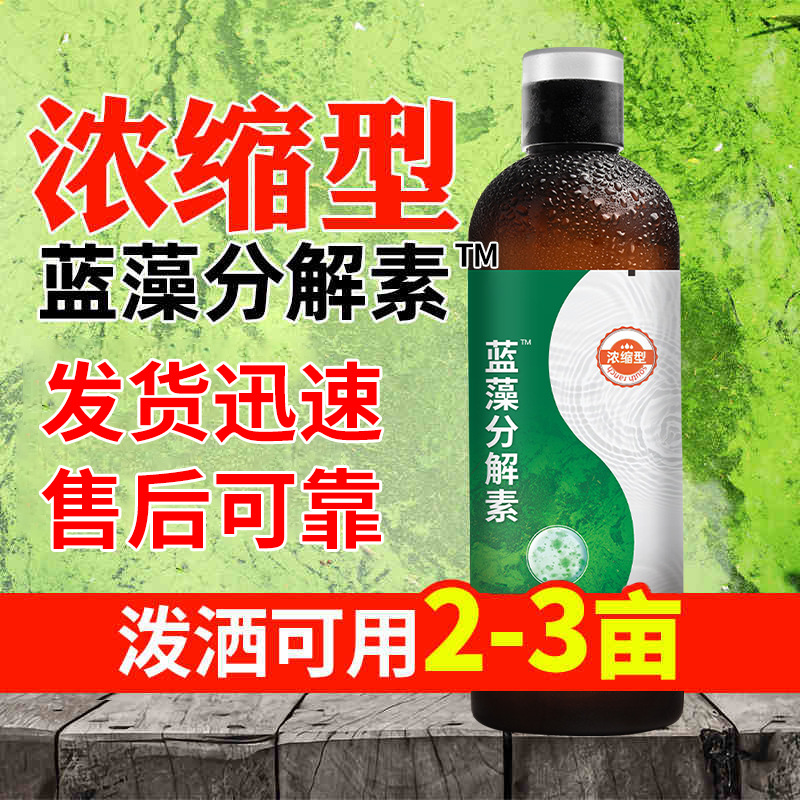 蓝藻分解素蓝藻净除蓝藻鱼塘虾蟹池塘水产养殖绿藻净蓝藻速灭克星
