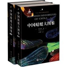 中国蜻蜓大图鉴（套装共2册）张浩淼著 重庆大学出版社 科普书籍