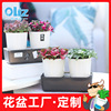 new pattern Lazy man Plastic Storage Flower pot Amazon gardening Manufactor wholesale Direct A101 Sticker water uptake Cotton rope new pattern Lazy man Plastic Storage Flower pot Amazon gardening Manufactor wholesale Direct A101 Sticker water uptake Cotton rope