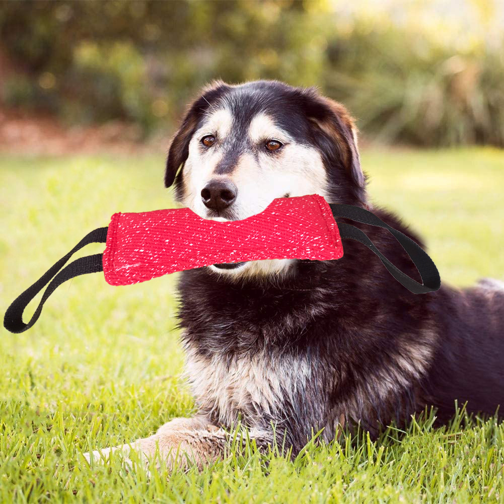 20cm宠物用品狗磨牙棒叼咬互动扑咬训练耐撕狗咬棒训狗用品