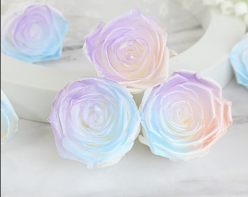 网红永生花5-6cm珠光玫瑰人鱼姬包花束diy手工材料包保鲜花送女友