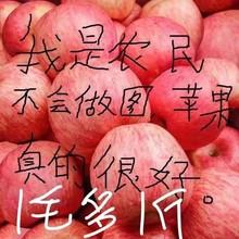 陕西延安洛川10斤冰糖心整箱2022苹果水果红富士新鲜脆甜包邮