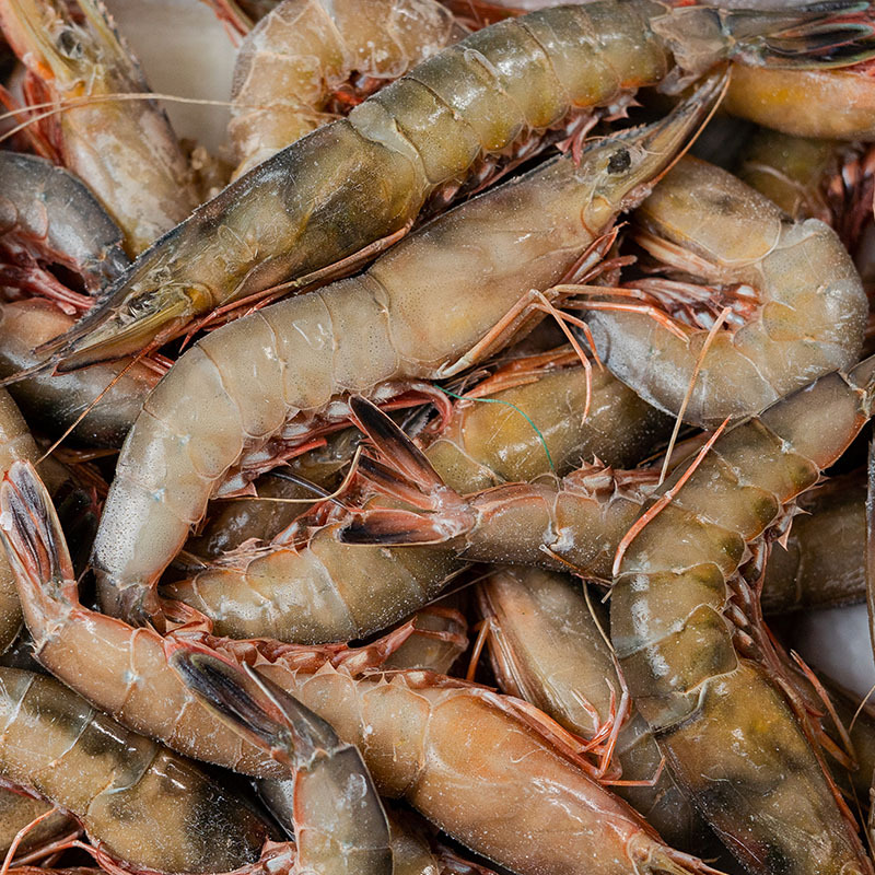 舟山嵊泗船冻野生青壳滑皮虾大活皮虾青壳虾剑虾液氮冷冻海鲜水产