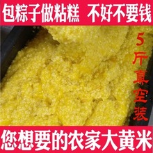 新大黄米5斤 农家自种 软黄米包粽子的米 粘糯小米黏黄米饭