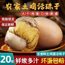 五香活珠子新鲜13天鸡胚蛋10枚即食熟食凤凰蛋钢化单非毛蛋毛鸡蛋