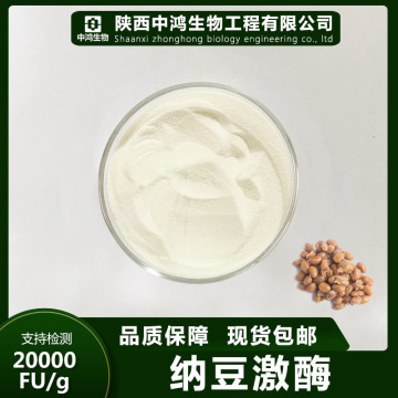 纳豆激酶 20000fu/g  纳豆提取物 纳豆激酶 原料 纳豆冻干粉 包邮
