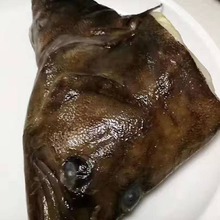 青岛海鲜顺丰包邮网店实体店新鲜鲽鱼鲜活花斑鲽鱼野生冷冻鲽鱼