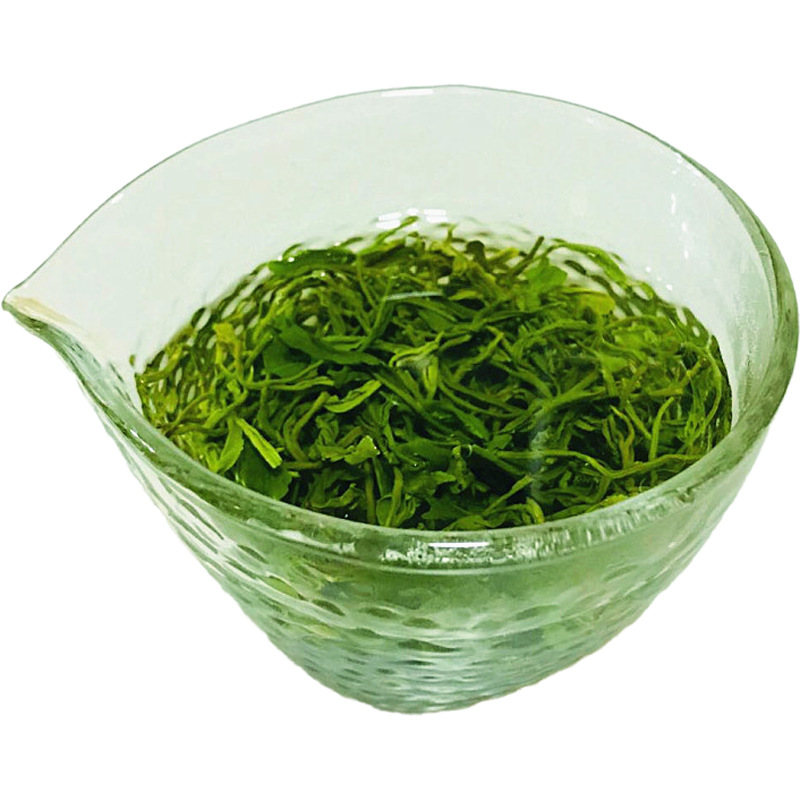 崂山绿茶2021新茶春茶浓香一斤散装高山云雾青岛豆香茶叶