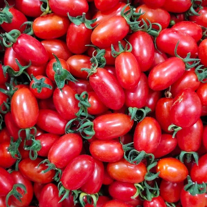圣女果批发红色小番茄新鲜水果当季非千禧云南特产西红柿生吃酸甜