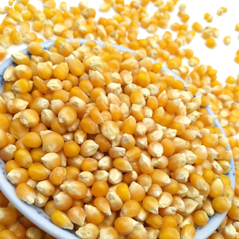 临沂甜玉米