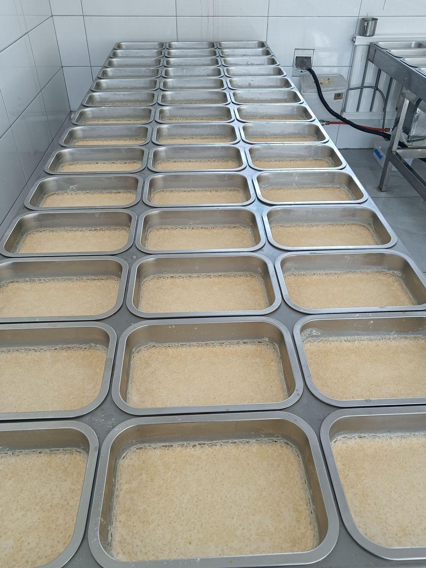 烤奶皮子机烤奶酪机烤奶豆腐机