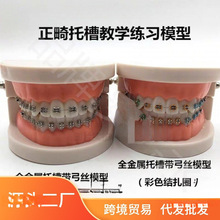 牙齿模型牙科正畸带托槽假牙模型 医患沟通教学模型 矫正练习托槽