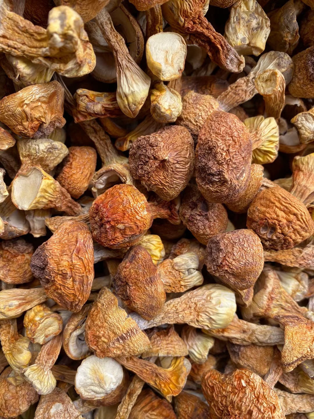 云南姬松茸干货批发500克散装松茸菌 新货巴西菇 食用菌酒店食材