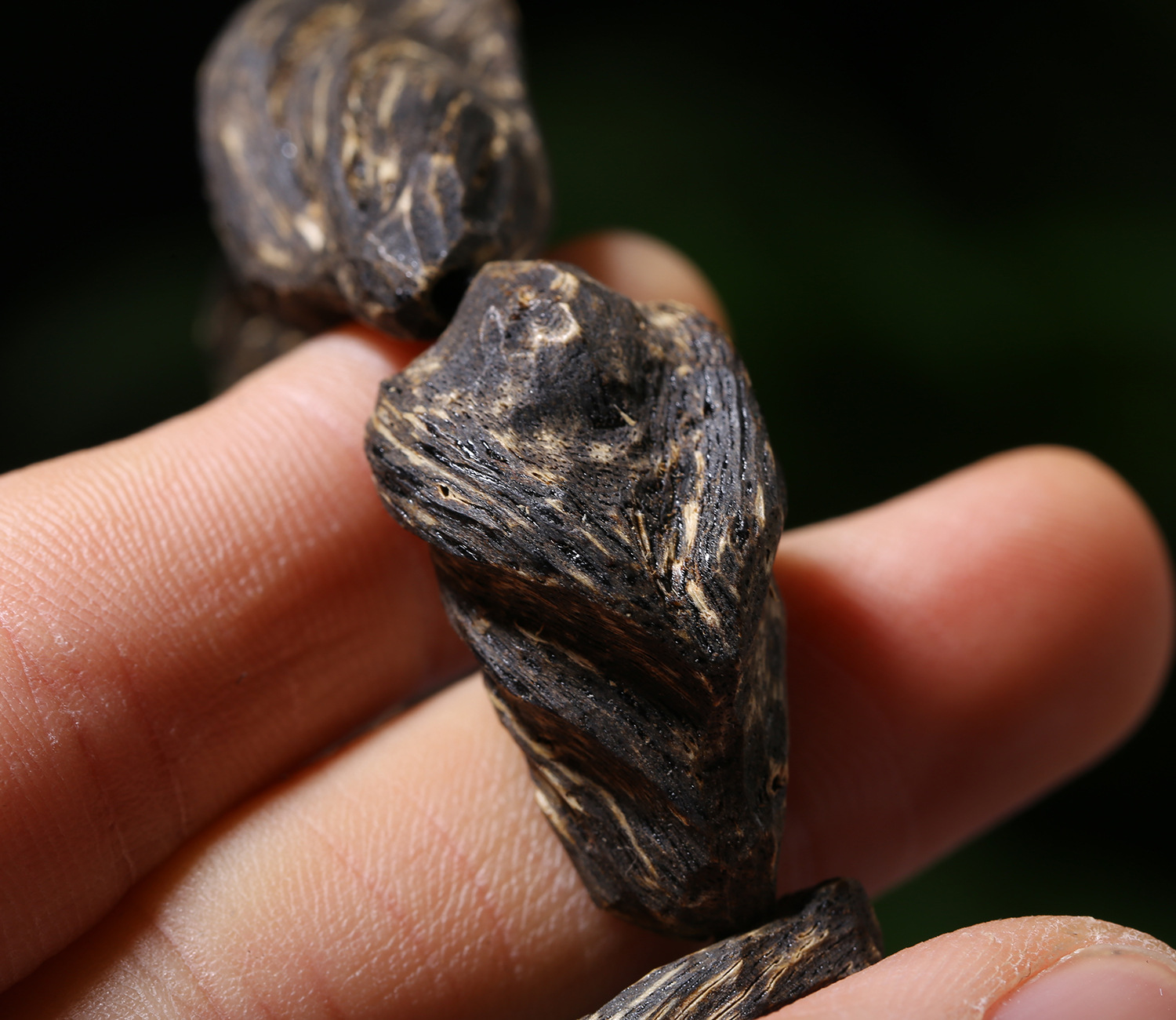 越南野生奇楠沉香手串随形高油百年老料沉水正区芽庄沉香男款高货