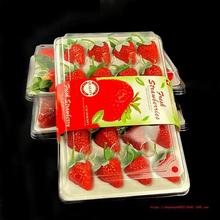 草莓盒子包装盒一次性透明草莓盒快递专用网红打包盒高档塑料防震