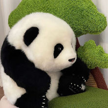 熊猫工厂五月龄萌兰和花花三月花花仿真大熊猫公仔玩偶七夕节礼物