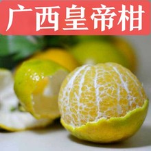 广西皇帝柑5斤新鲜时令水果当季非蜜桔贡柑沃柑砂糖5橘子黄帝柑