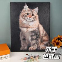 狗狗猫咪diy数字油画手绘填色油彩画挂画宠物小动物儿童手工油画