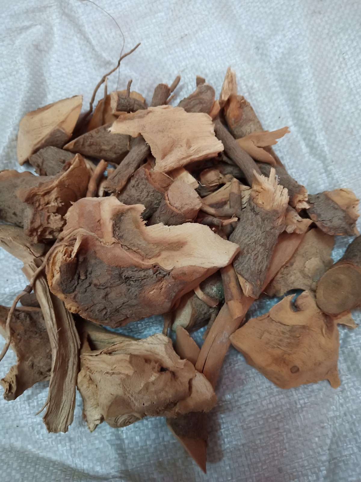 樟树根,香樟树根,樟脑树根,山沉香中药材500克包邮