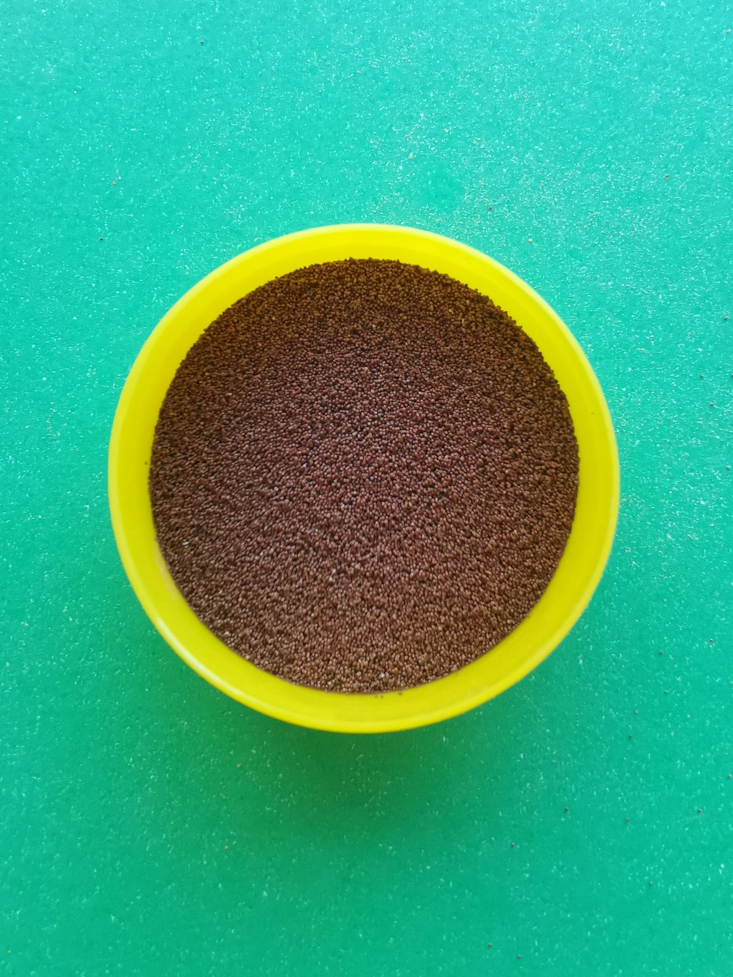 丰年虫卵 渤海湾卵 热带鱼观赏鱼虾苗鱼苗饲料开口饵料 可孵化