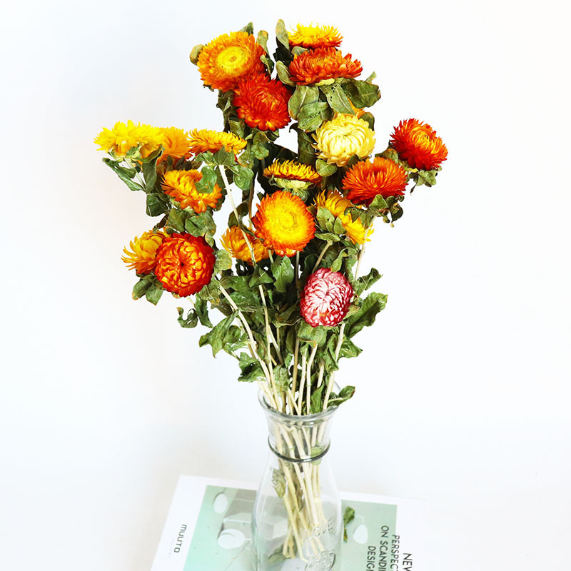 兔尾草满天星干花混搭花束diy材料花客厅装饰 云南工厂批发