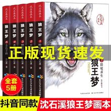 狼王梦正版包邮沈石溪动物小说大王狼王梦画本珍藏版完整版漫画版