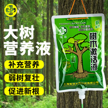 智绿大树营养液吊针液树木激活液果树老树病树弱树生根发根通用型
