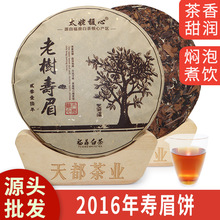 2016年福鼎白茶饼寿眉老白茶茶饼太姥山脉磻溪白茶茶叶批发市场