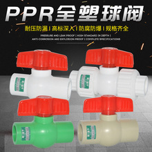 PPR双活接全塑球阀4分20 6分25 1寸32 水管接头冷水可用塑料球阀