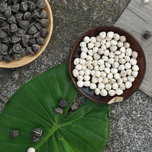 包邮印度辣木籽包邮500g的天然种子食用1斤装野