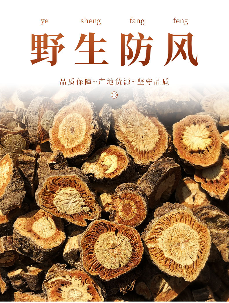 包邮 徽信远中药材批发 内蒙古海拉尔道地道地防风