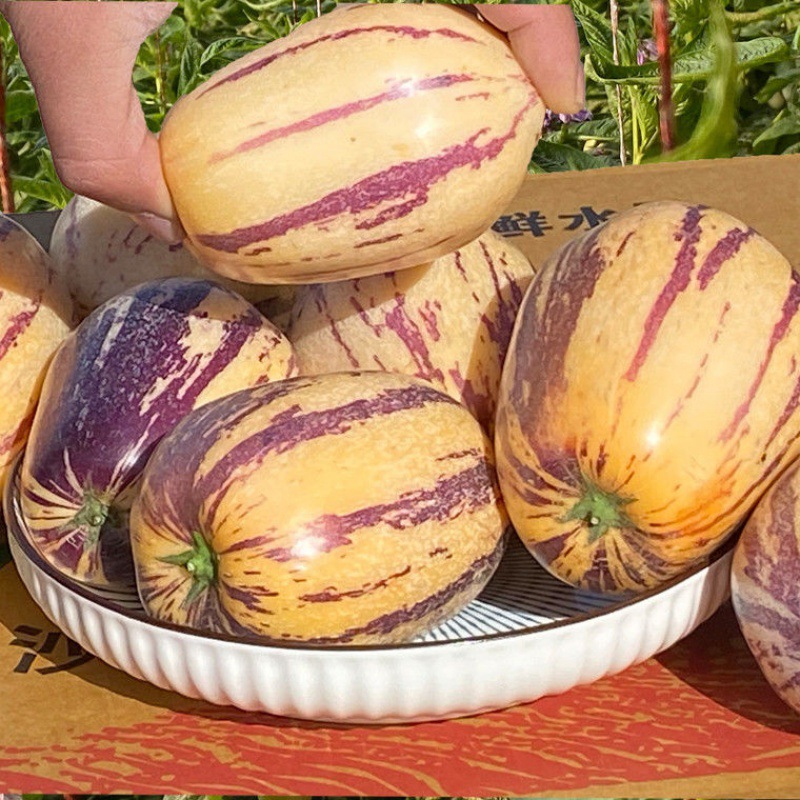 人参果甘肃民勤沙漠水果批发当季黄肉大果低糖云南人生果整箱包邮