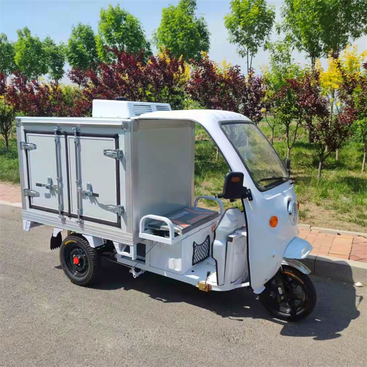 定制成德 箱式新款封闭三轮车 电动冷链车 厢式保温车三轮车