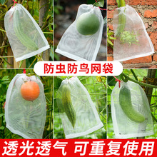 防虫网防虫袋瓜果防果蝇防鸟袋袋葡萄果树水果套袋尼龙防虫网袋
