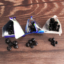 长白山蓝莓干大果东北特产微糖儿童水果干休闲零食小包装250gx2袋