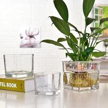 郁金香水培容器种球器皿花盆玻璃瓶透明水养花瓶客厅摆件植物盆栽