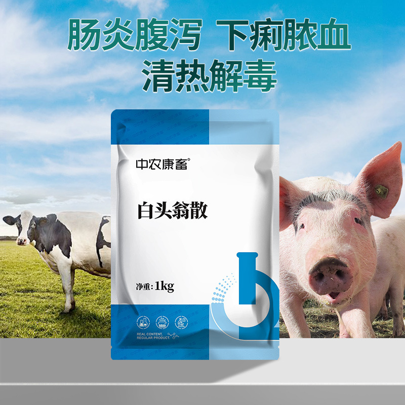 中农康畜兽用1kg白头翁散拉稀兽药猪牛羊腹泻大肠杆菌鸡鸭禽批发