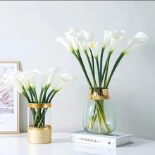 白马蹄莲,花长50-60cm种植基地销售,10支,赠保鲜剂,斗南发货