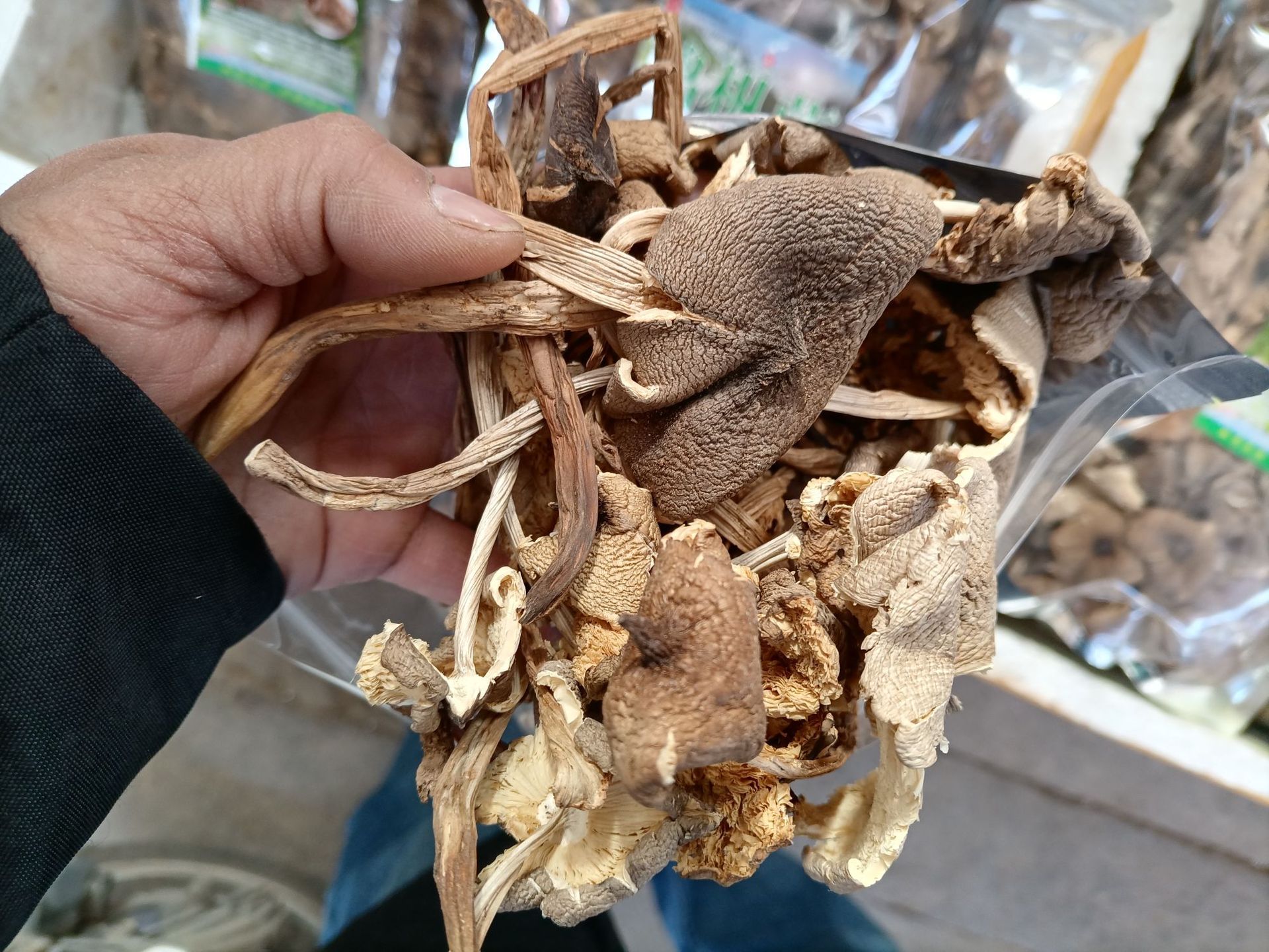 云南特产鸡枞菌蘑菇菌干货散装零售批发一件代发
