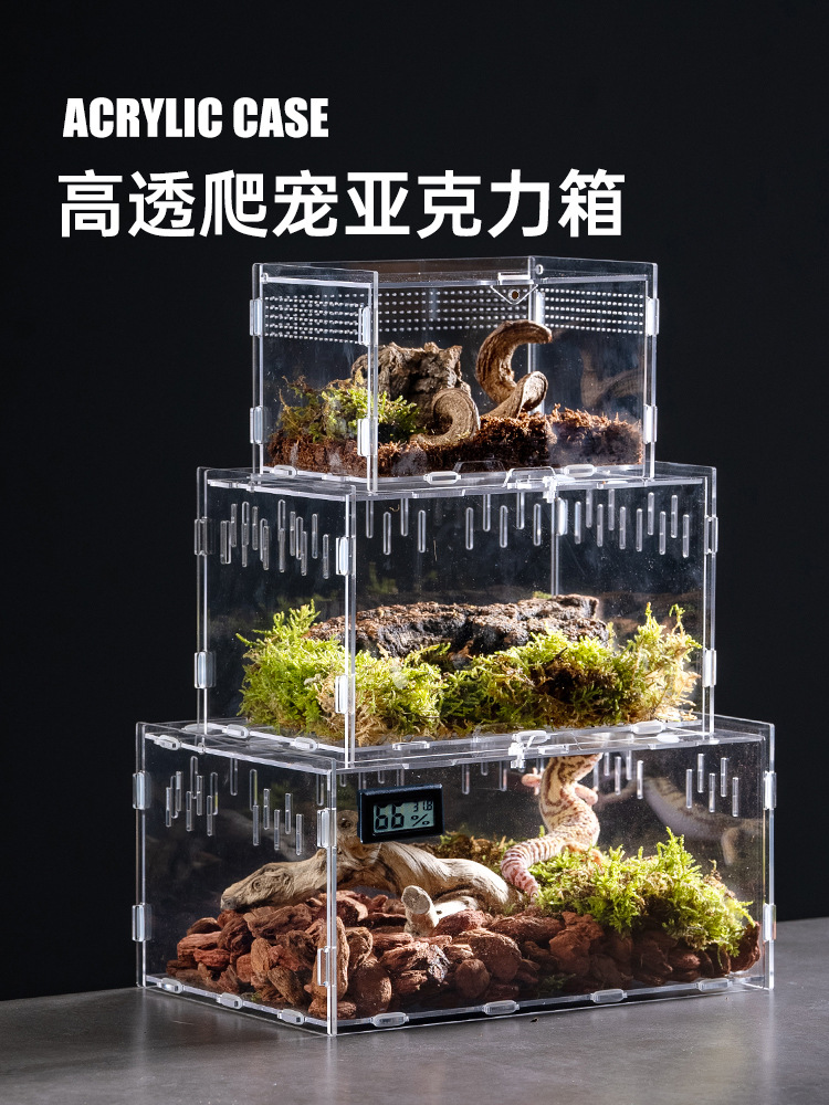 爬宠饲养箱亚克力蜗牛守宫蛇蝎子蜥蜴昆虫观察饲养盒桌面观赏盒子