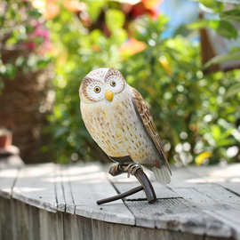 0成交108笔义乌市铁艺动物青蛙自行车室