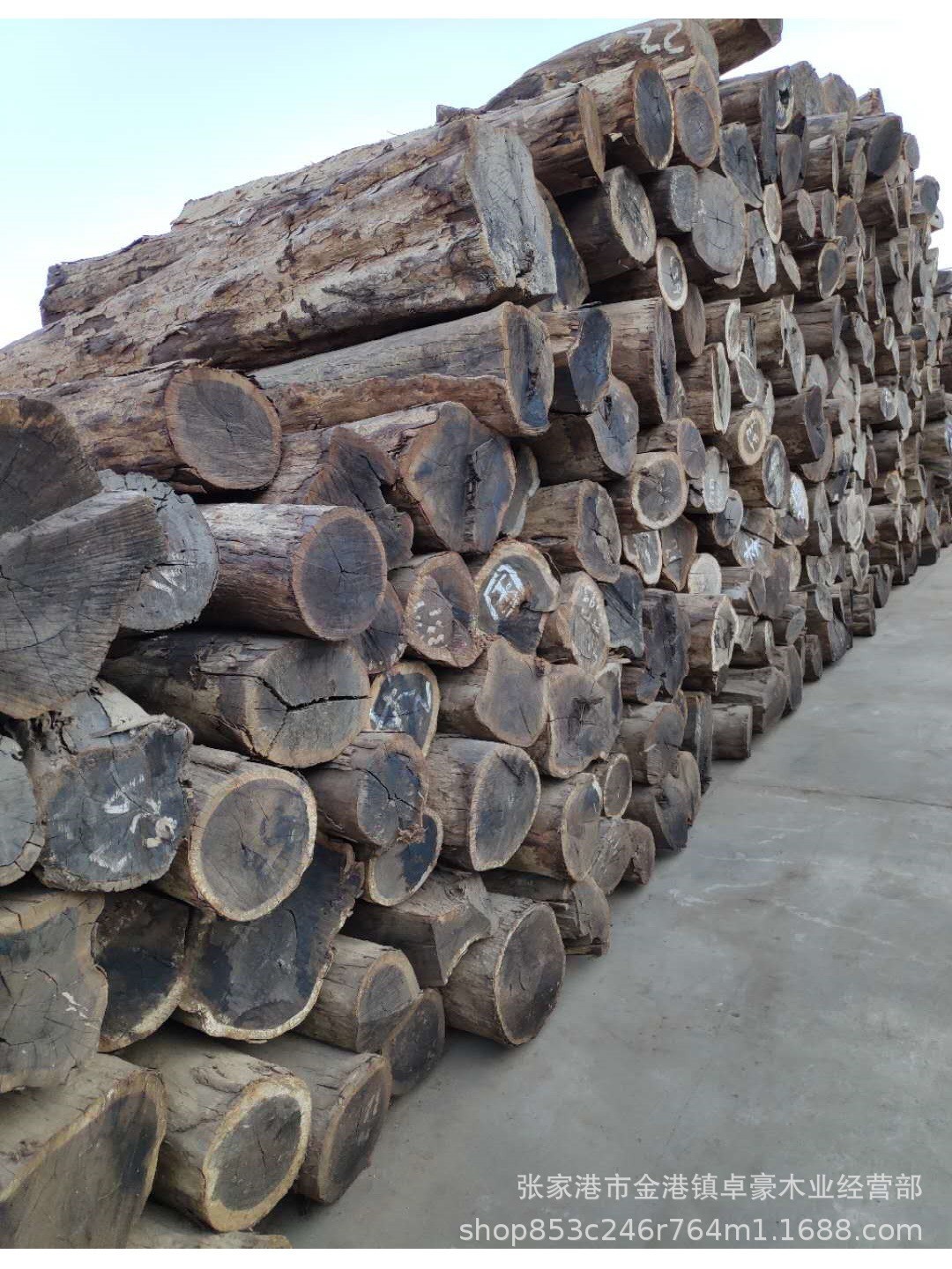 沉贵宝原木 沉贵宝 二级黑檀 黑檀沉贵宝 沉贵宝原木