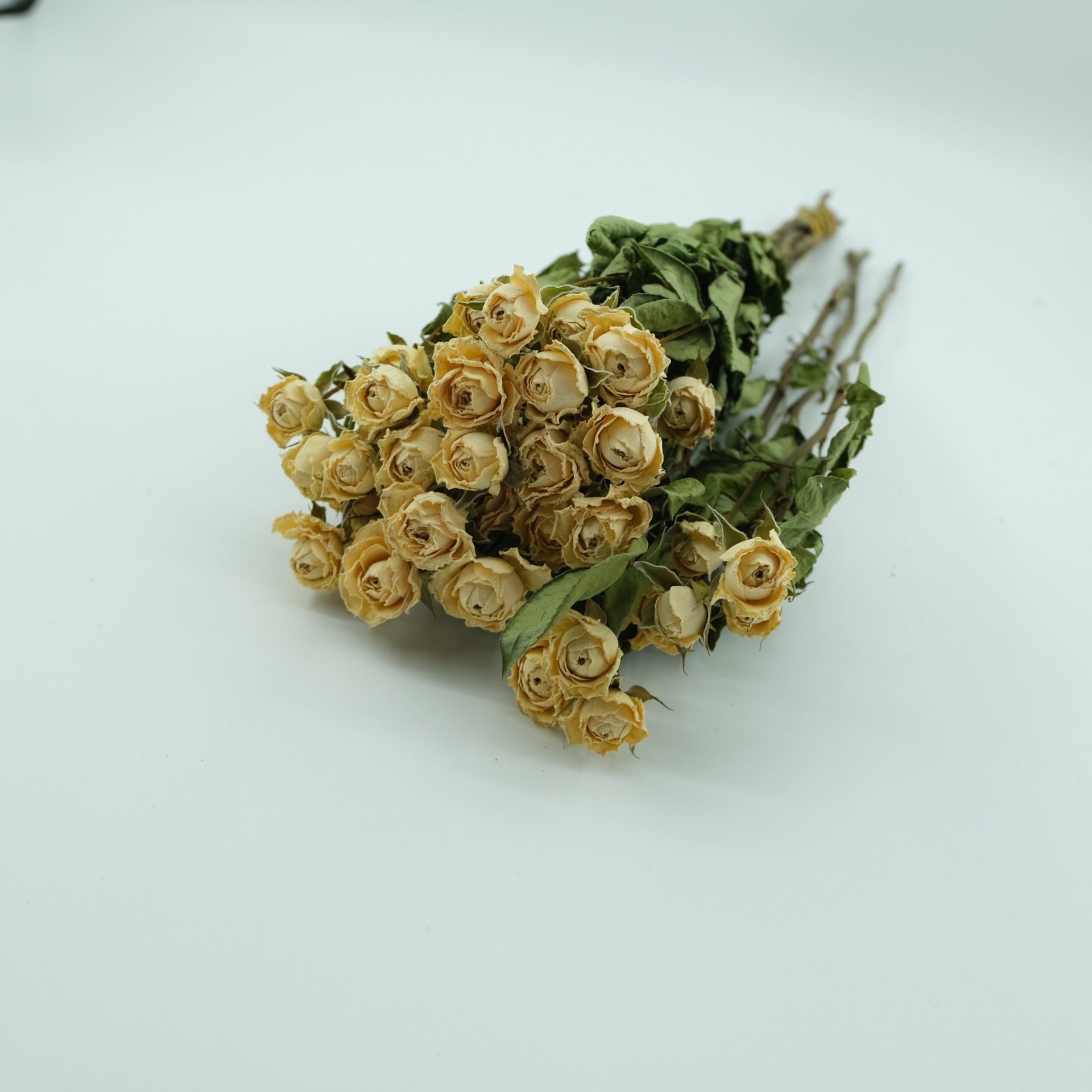 多头玫瑰干花 多头泡泡自然风干滴胶香薰蜡烛压花花材批发花束